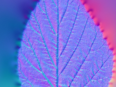 其他法线