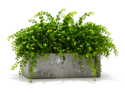 盆栽植物装饰组件