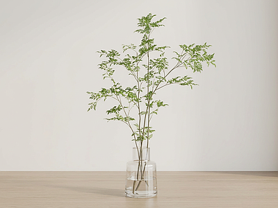 绿植草本植物
