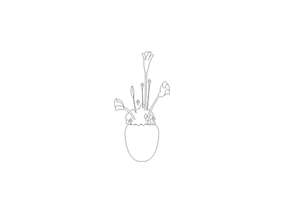 种绿植盆栽图块 植物