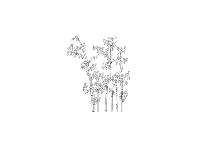 植物图例 竹