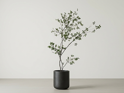细枝艺术绿植盆栽