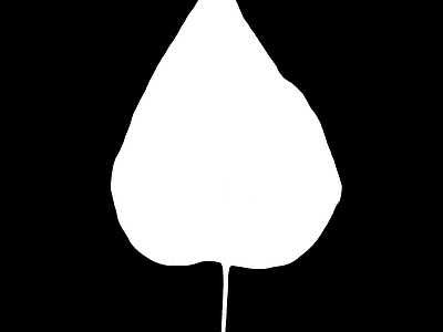 水渍