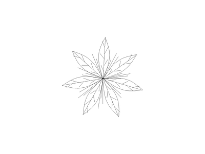花 园林常见植物品种图例及说明