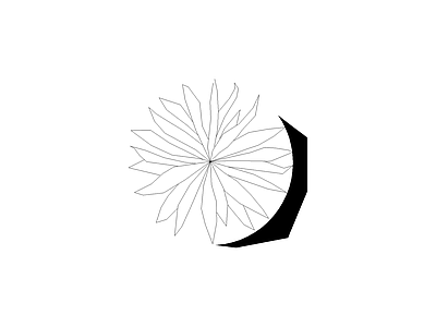 花 备用植物图例