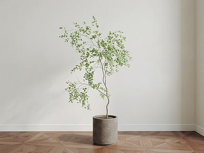造型绿植盆栽
