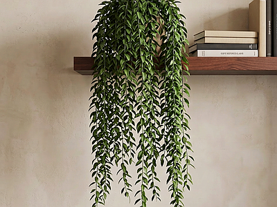 垂吊绿植藤蔓