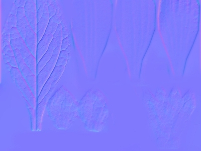 其他法线