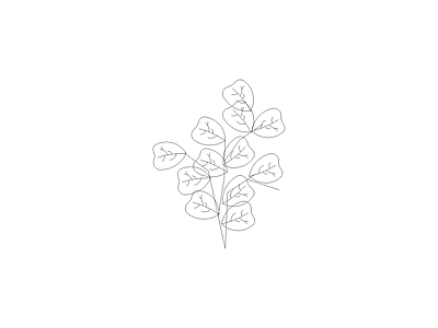 组团植物平立面图 琴叶榕立