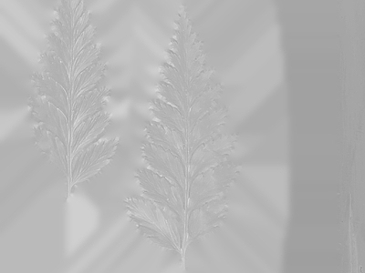绿植墙