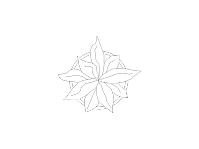 花 备用植物图例
