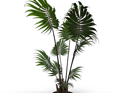 带盆绿植模型