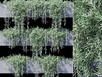 现代绿植藤蔓