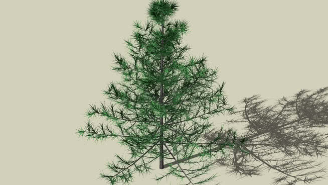 常绿植物 画 迷雾 家居物品 其他