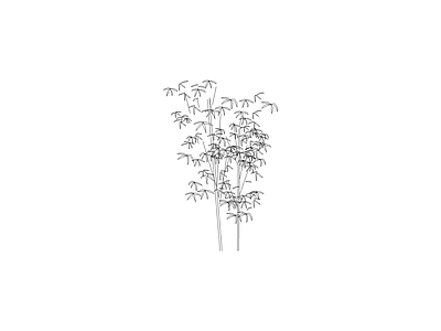 乔木种植 常用植物图例