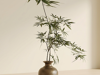 艺术绿植竹子