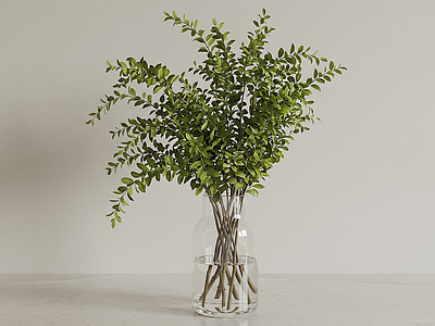 装饰绿植灌木