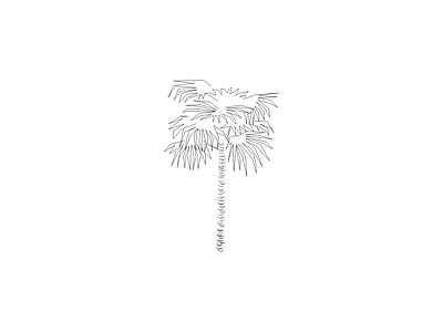 乔木种植 备用植物图例