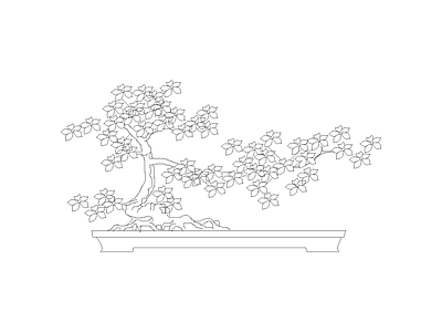 灌木种植 花瓶花卉绿植装饰摆件图块