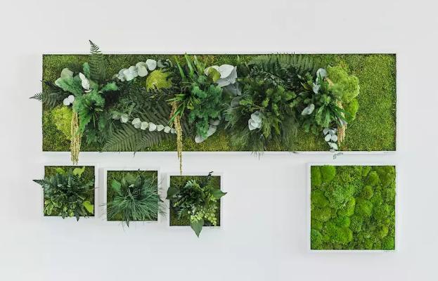 植物墙 贴图 自然元素