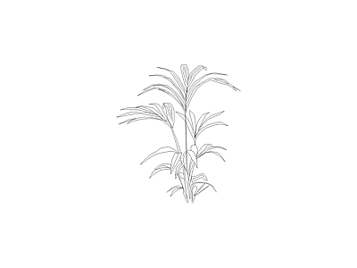 绿植 园林常见植物品种图例及说明