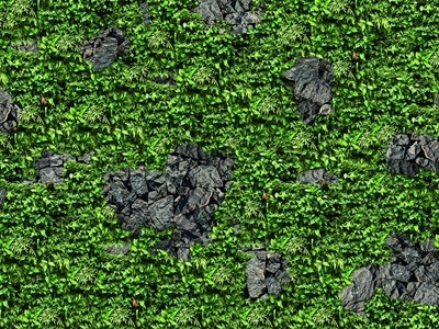 植物墙