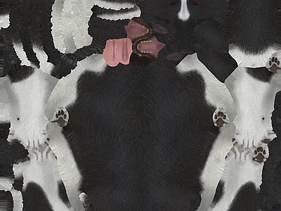动物皮毛