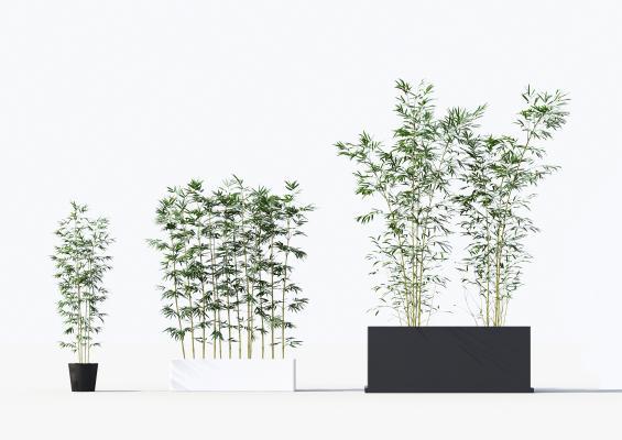 中式竹子绿植盆栽组合
