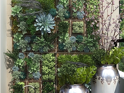 现代植物墙 多肉