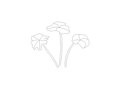 花 园林常见植物品种图例及说明