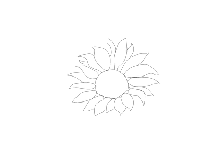 植物图例 伞房决明