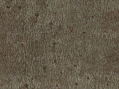 裂纹漆