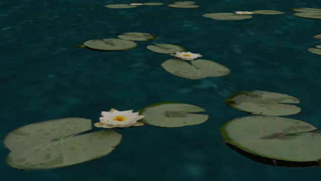 水母 画 湖 珊瑚礁 儒艮