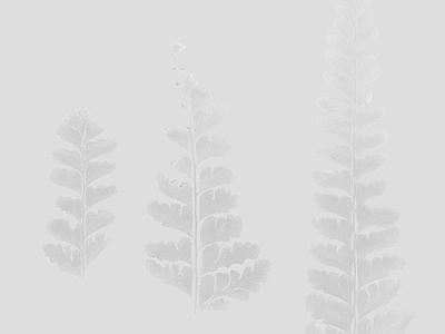 绿植墙