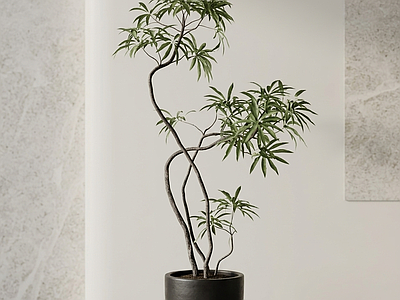 艺术绿植盆栽