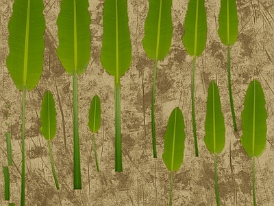 绿植墙