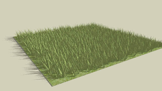 高Poly Grass 扫帚 其他 植物 迷雾 刷子