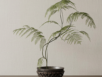 艺术绿植盆栽