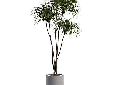 盆栽植物模型