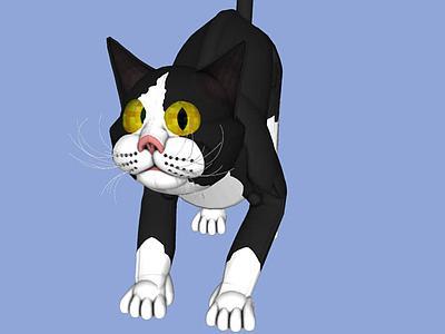 猫