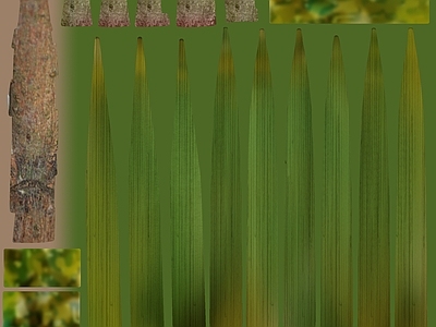 绿植墙