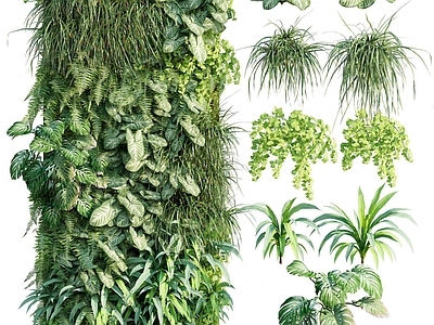 现代绿植植物墙