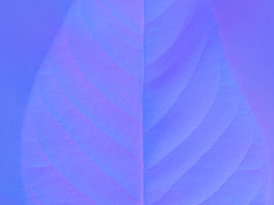 其他法线