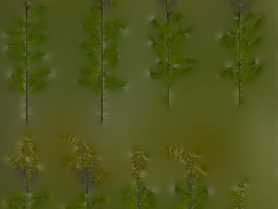 绿植墙