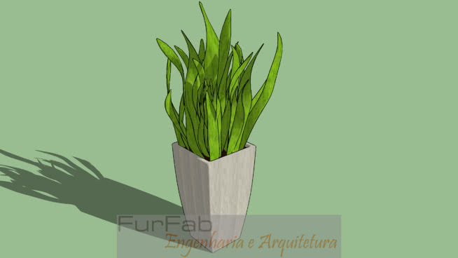 盆栽植物（虎尾兰剑（圣乔治） 其他