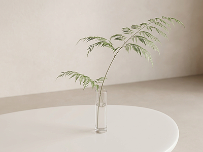 小型艺术绿植草本植物