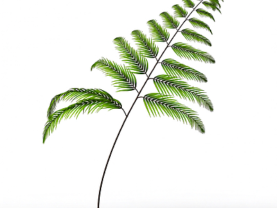 绿色枝叶植物模型