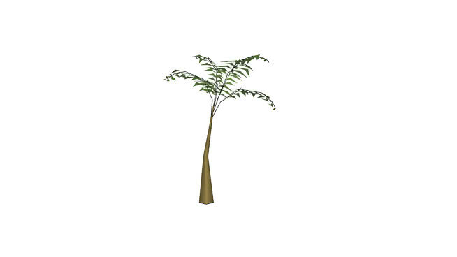 热带棕榈树12英尺 植物 画 金刚鹦鹉 饰品 其他