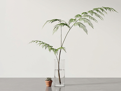 艺术绿植盆栽