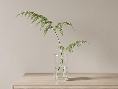 艺术绿植草本植物
